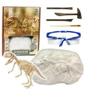 Wykopaliska Dinozaur