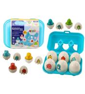 Jaja dinozaurów 6szt