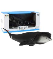 Duża figurka kolekcjonerska Wieloryb Grenlandzki