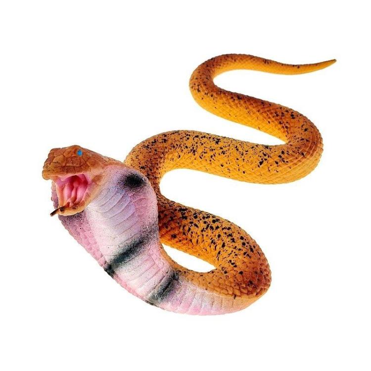 Wąż elastyczny 21x18,5x5cm