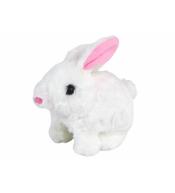 Króliczek chodzący krótka sierść biały