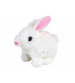 Króliczek chodzący krótka sierść biały