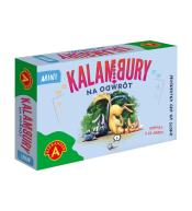 Kalambury na odwrót mini ALEX