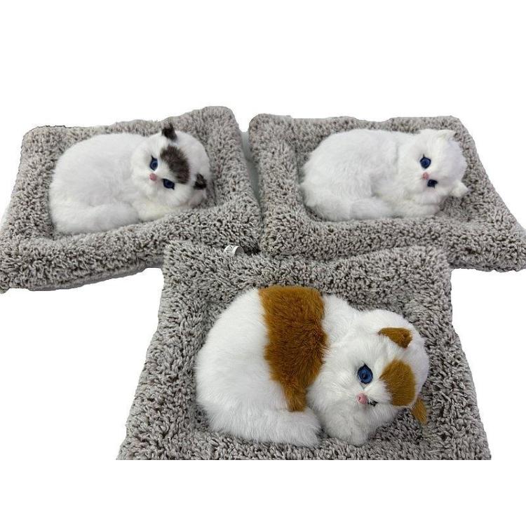 Kotek pluszowy na poduszce z dźwiękiem MIX