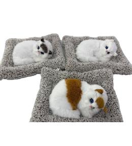 Kotek pluszowy na poduszce z dźwiękiem MIX