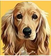 Malowania po numerach 22x22cm MIX