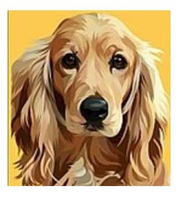 Malowania po numerach 22x22cm MIX