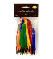 Piórka twarde 15cm 50szt