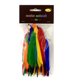 Piórka twarde 15cm 50szt