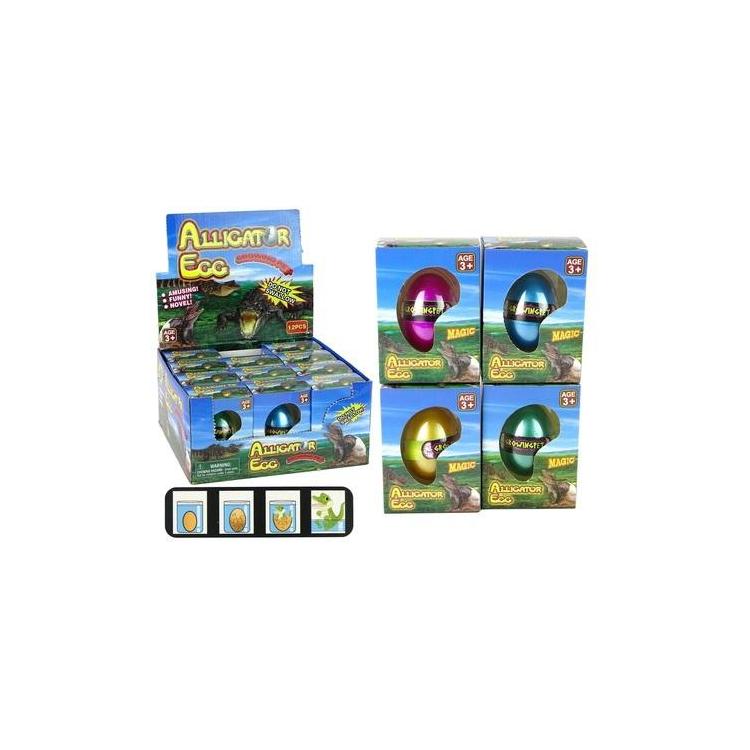 Rosnące jajo aligatora krokodyla 6cm