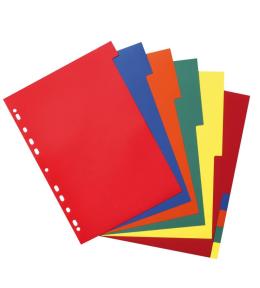 Przekładki A4 PP 10-częściowe różne kolory
