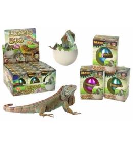 Wykluwające się magiczne jajko jaszczurki 6cm