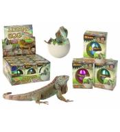Wykluwające się magiczne jajko jaszczurki 6cm