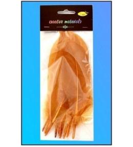 Piórka twarde jasnobrązowe 10szt