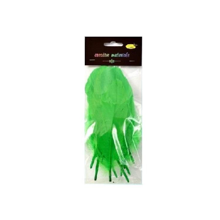 Piórka twarde jasnozielone 10szt