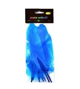 Piórka twarde pacyfik 10szt