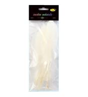 Piórka twarde białe 10szt