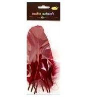 Piórka twarde bordowe 10szt