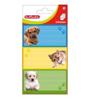 Naklejki A szkolne kotek/piesek