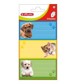 Naklejki A szkolne kotek/piesek