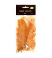 Piórka miękkie jasnobrązowe 15szt
