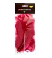 Piórka miękkie bordowe 15szt