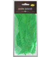 Piórka miękkie zielone 15szt