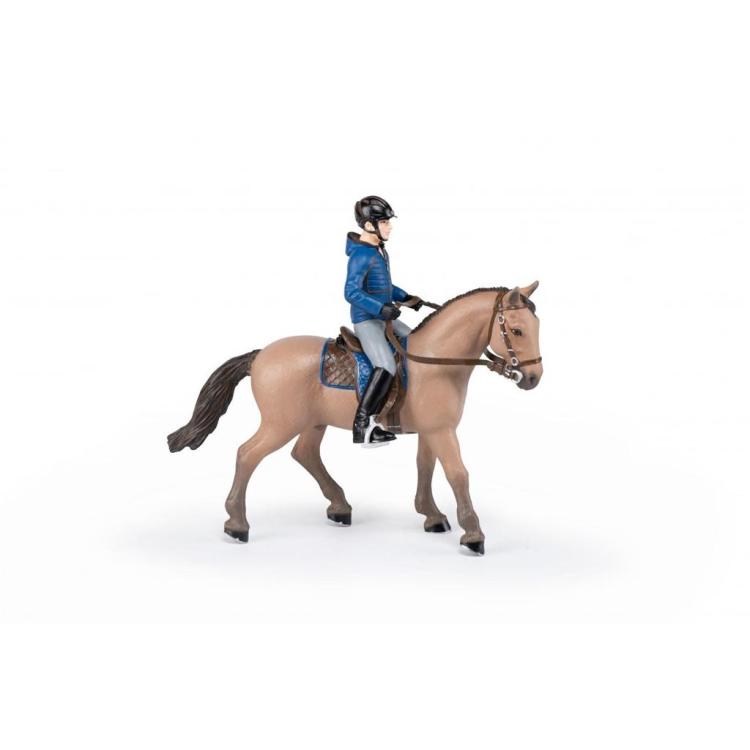 Koń z jeźdźcem mężczyzną