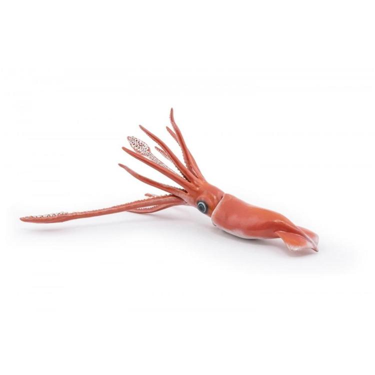 Kałamarnica olbrzymia