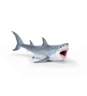 Megalodon