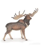 Megaloceros