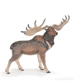 Megaloceros