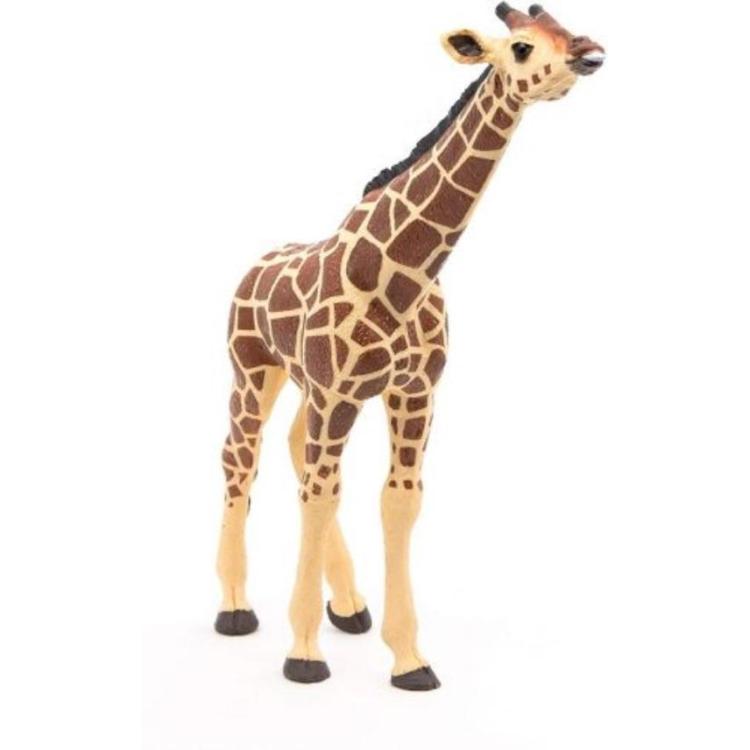 Żyrafa z wyciągniętą głową