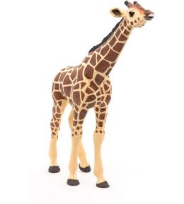 Żyrafa z wyciągniętą głową