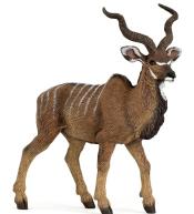 Antylopa kudu wielka
