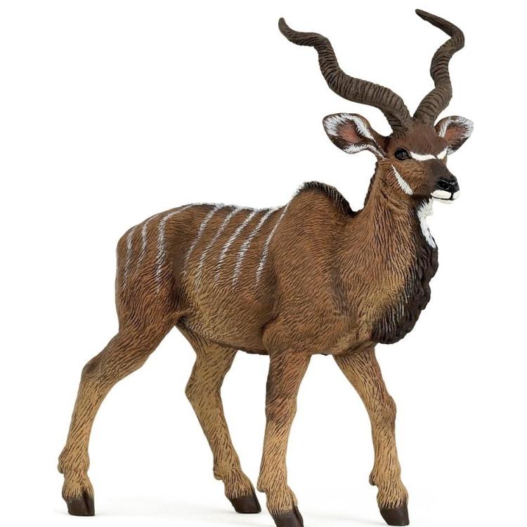 Antylopa kudu wielka