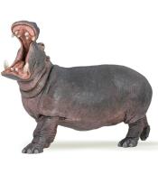 Hipopotam