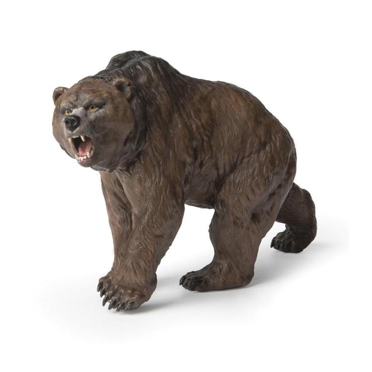 Niedźwiedź jaskiniowy