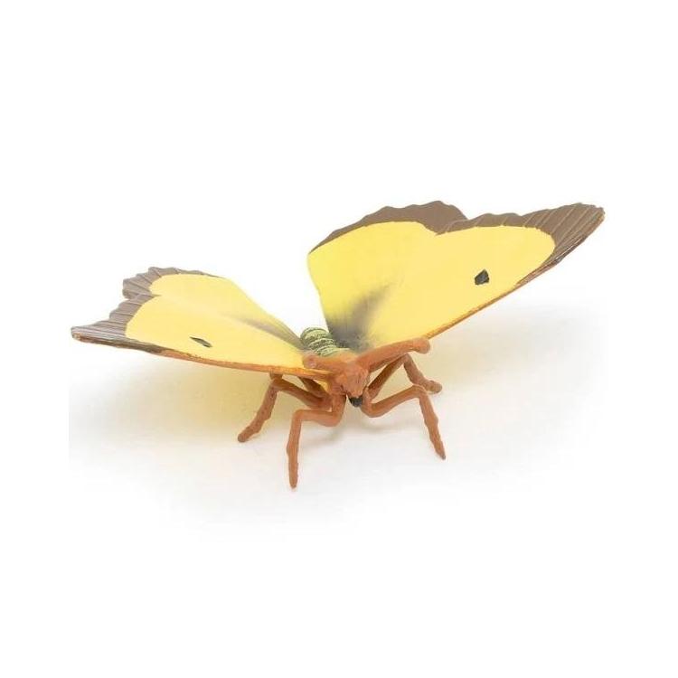 Szlaczkoń sylwetnik