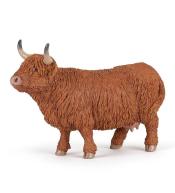 Byk Highland Cattle