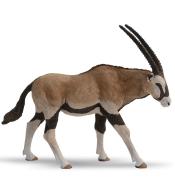 Antylopa Oryx