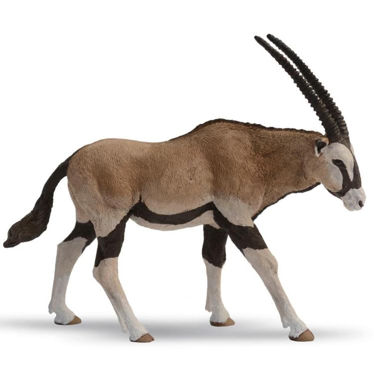 Antylopa Oryx
