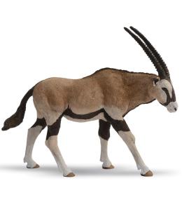 Antylopa Oryx