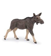 Klępa - samica łosia