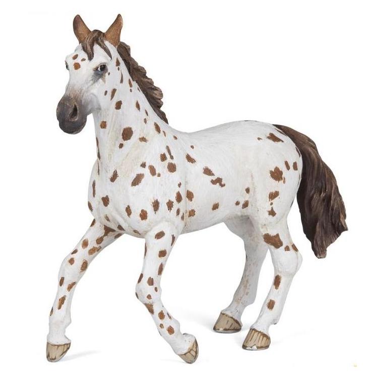 Klacz Appaloosa