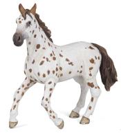 Klacz Appaloosa