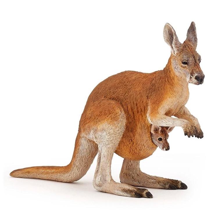 Kangurzyca z młodym