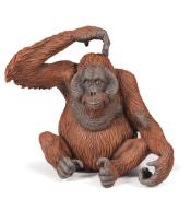 Orangutan
