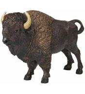 Bawół amerykański