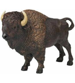 Bawół amerykański